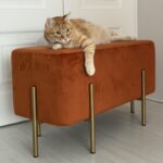 Главная Банкетка Кэт